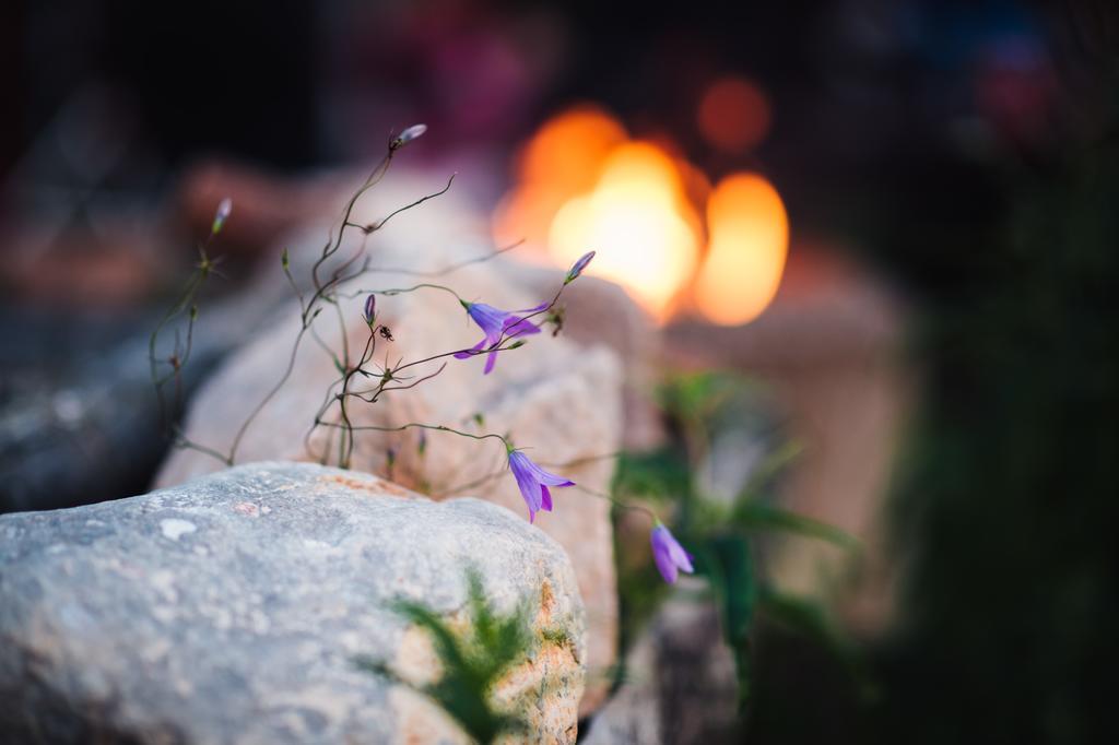 Bjoerkebo Camping Stöllet Zewnętrze zdjęcie