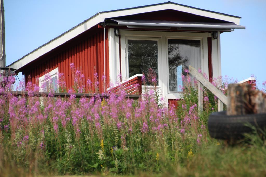 Bjoerkebo Camping Stöllet Zewnętrze zdjęcie